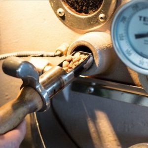 Coffee Circus roasting process â€“ checking coffee beans with a trier during roasting