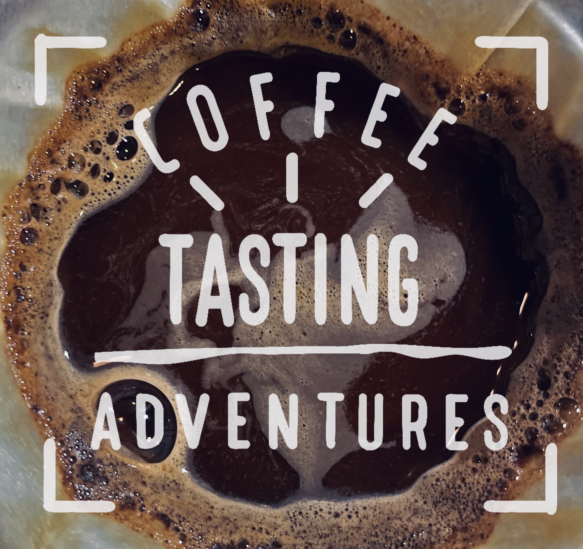 Fresh brewed coffee with crema in white cup featuring Coffee Tasting Adventures branding